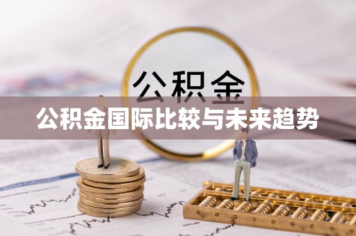 随县公积金国际比较与未来趋势