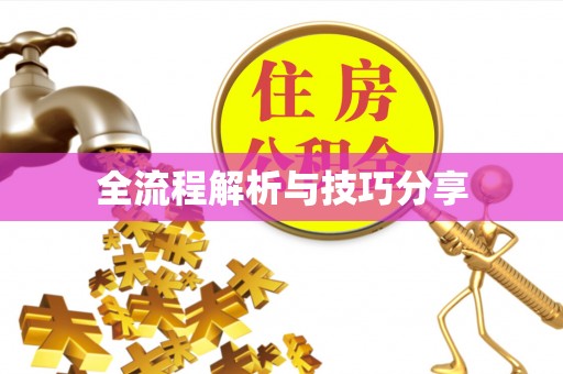 随县全流程解析与技巧分享